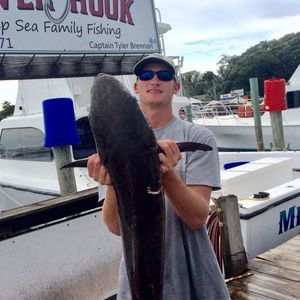 Meet your Posher, Jeffrey